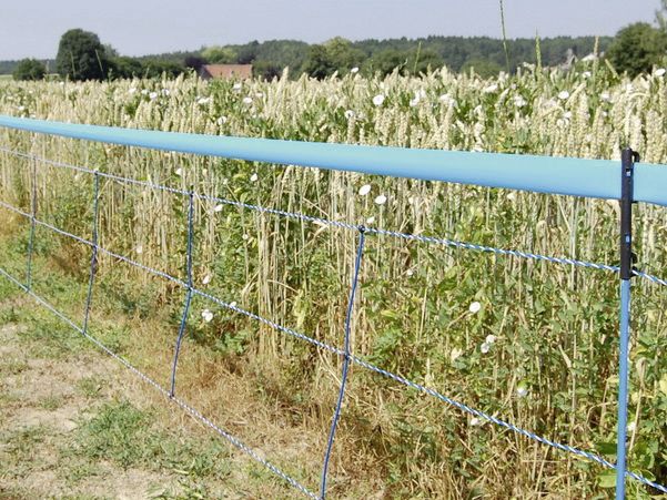 Signalband - Tierzuchtgeräte - Weidezaun - Schäfereibedarf - Der Shop für  Tierhalter aus Dortmund