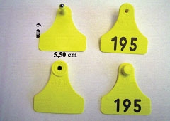Bild 1 von Allflex-Ohrmarken Dornteil Gr. junior,  neutral  / (Farbe:) grün