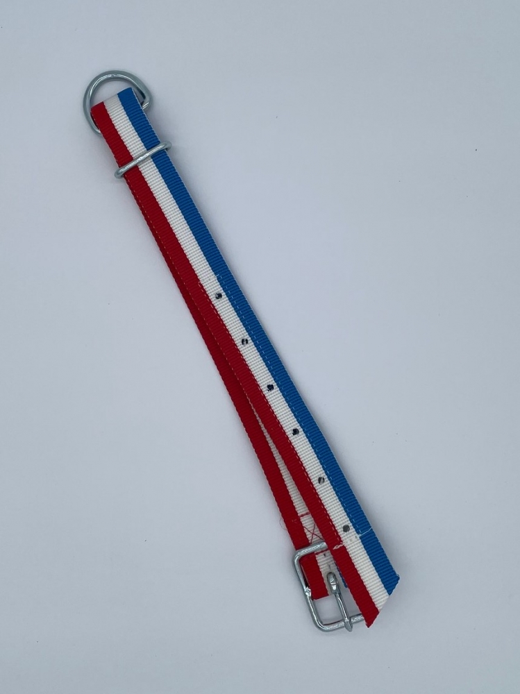 Bild 1 von Halsgurt für Kälber  u. Ponys, 95cm, 40mm breit  / (Farbe:) blau-weiß-rot