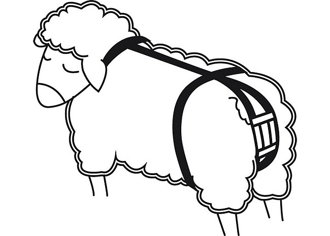 Bild 1 von Vorfallbandage für Schafe