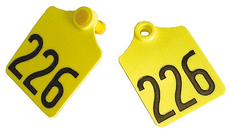 Bild 1 von Prima-Flex-Ohrmarken Gr.2 geprägt  / (farbe:) rot / (Nummerierung) 101 - 125