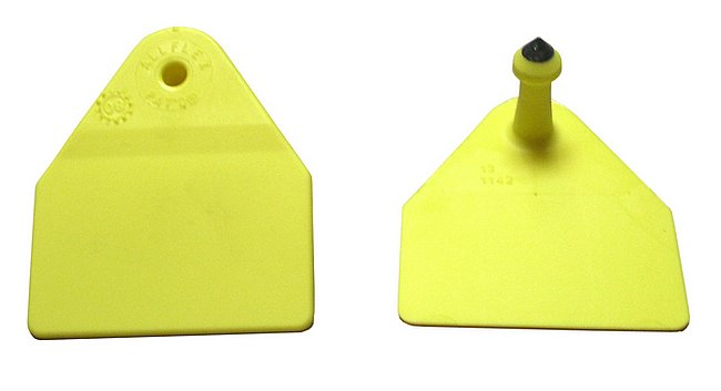 Bild 1 von Allflex-Ohrmarken Gr.1 Dornteil, neutral  / (Farbe:) rot