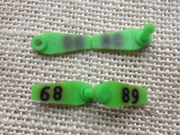 Bild 1 von Prima-Flex-Ohrmarken Gr. 0 geprägt  / (Farbe:) rot / (nummerierung:) 76-100
