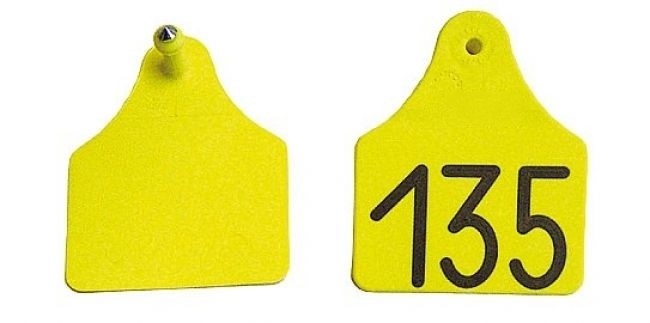 Bild 1 von Allflex-Ohrmarken Gr. 2 Dornteil, geprägt  / (Farbe) blau / (Nummerierung) 81-100