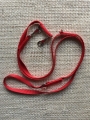 Bild 1 von Führleine, 15mm  / (Farbe) grün