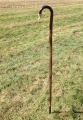 Bild 3 von Schäferstab    Mod.Schwäben