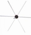 Gallagher Zaunspinne (5)