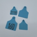 Allflex Ohrmarke Gr.2/Gr.3