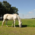 Bild 3 von TurboLine-Breitband 20 mm (weiß, 200 Meter)