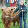 Bild 2 von Anbindestrick   3-farbig   2 meter