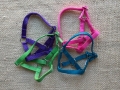 Bild 5 von Ziegenhalfter aus Nylongurt  / (Größe) 50 / (Farbe) apfelgrün
