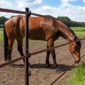 Bild 3 von TurboLine-Breitband 20 mm (terra, 200 Meter)
