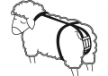 Vorfallbandage für Schafe