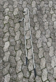 Bild 2 von Fanghaken Mod. England