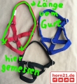 Bild 3 von Ziegenhalfter aus Nylongurt  / (Größe) 45 / (Farbe) türkis