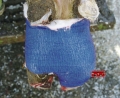 Bild 3 von Klauenbandage VETlastic  / (Farbe:        Breite:) blau     10 cm breit
