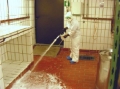 Bild 2 von Desinfektion-Schaumpistole