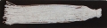Peitschenschmitz