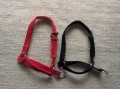Halfter mit Zugband Gr. 7