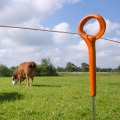 Bild 2 von Gallagher Ring-Top Pfahl - 1,00m (10)