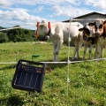 Bild 3 von Gallagher S40 Solar-Weidezaungerät inklusive Batterie (6 V - 10 Ah)