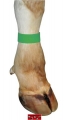Bild 2 von Fessel Markierungsband, 10er Pack  / (Farbe:) grün
