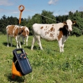 Bild 4 von Gallagher S20 Solar-Weidezaungerät mit Batterie (6 V - 4 Ah)